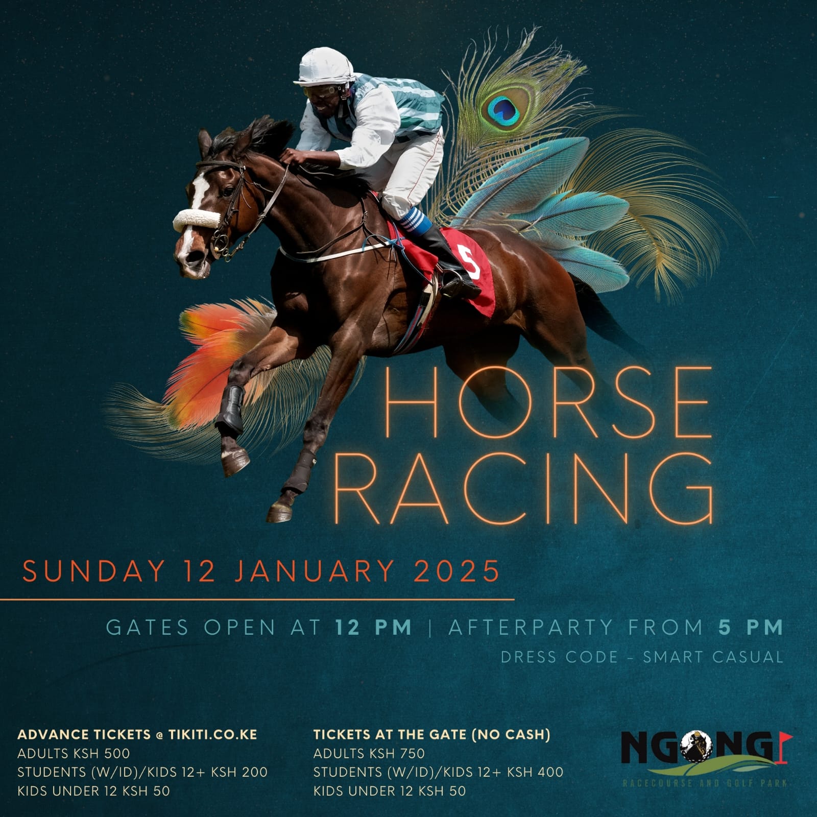 Horse Racing - January 12, 2025 Poster